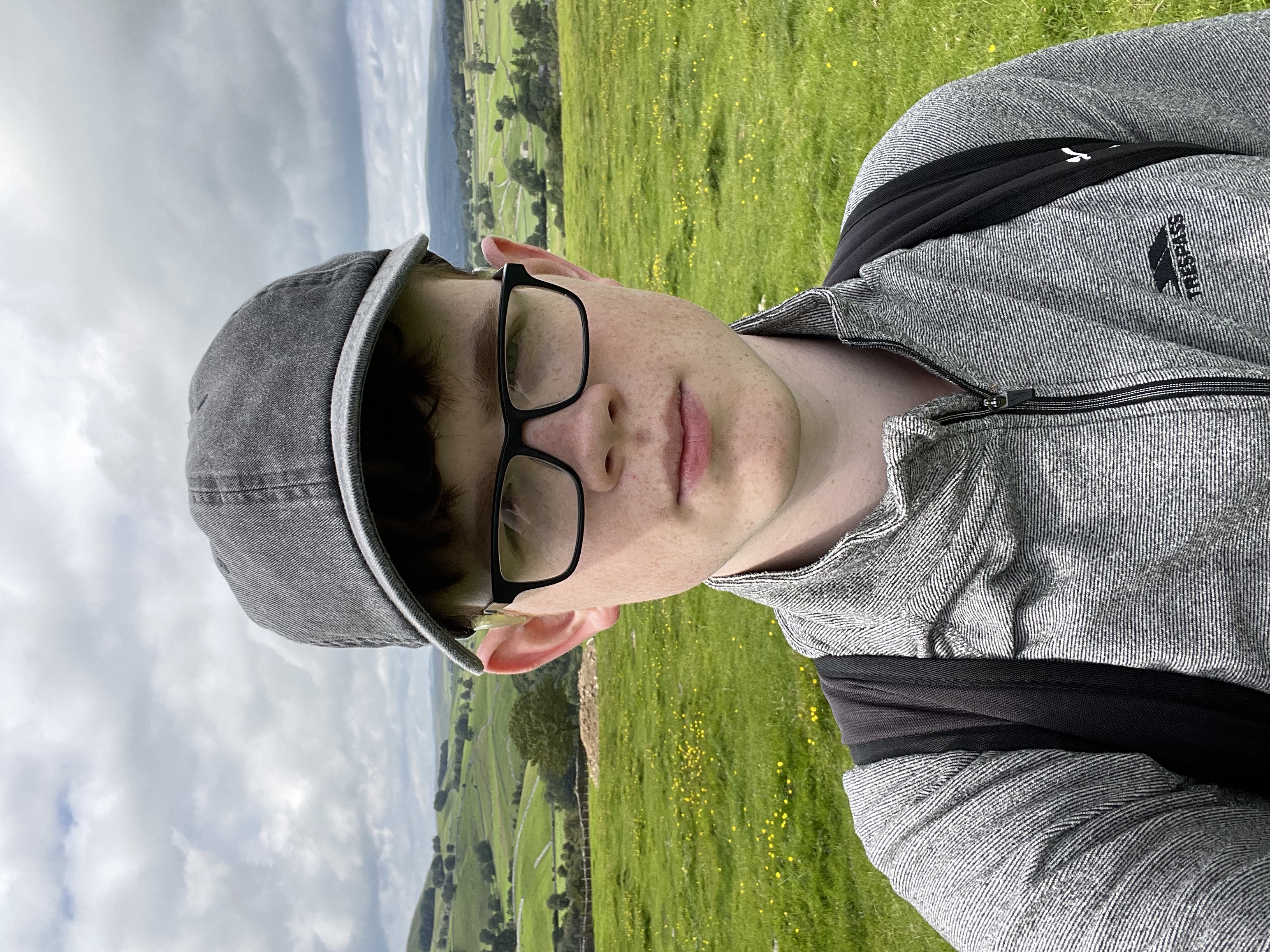 Photo of Robin